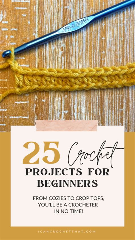 25 Beginner Crochet Projects - From Cozies to Crop Tops
