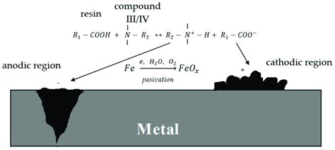 Schematic Representation Of The Proposed Protective Mechanism Of