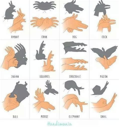 How to make some shadow puppet animals. : LearnUselessTalents