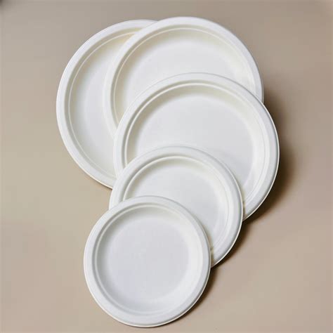 Disposable Biodegradable Plates Sugarcane Bagasse Paper Pulp Mould