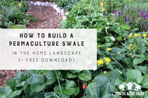 6 Maps To Draw For Creating Your Own Permaculture Site Design Tenth