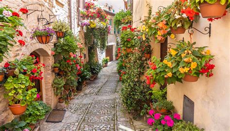 Il Borgo Dei Fiori Sta Per Sbocciare Ecco Quando Ammirare Lo Show