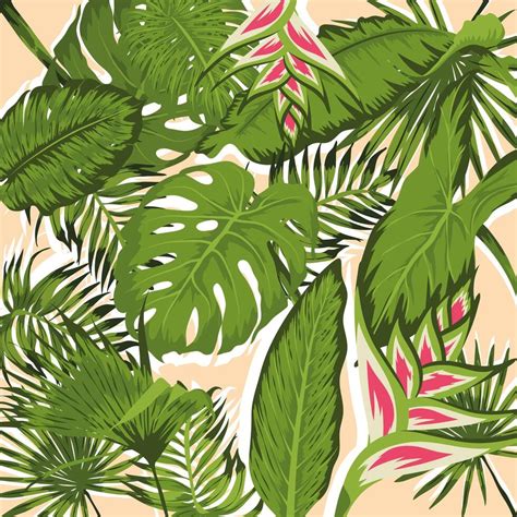Heliconias And Leafs 3689811 Vector Art At Vecteezy
