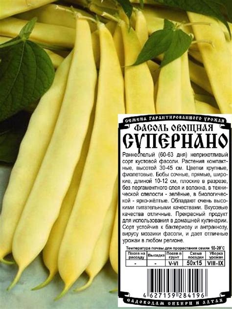 фасоль овощная спаржевая Супернано (5 гр Б/П) | Фасоль ЦП | Агрофирма ...