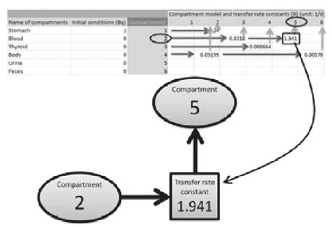 spreadsheet format   model  fig  scientific diagram