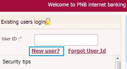 How To Register For PNB Net Banking Online