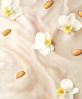 Almondmilk Non-Dairy Protein Shakes | Premier Protein