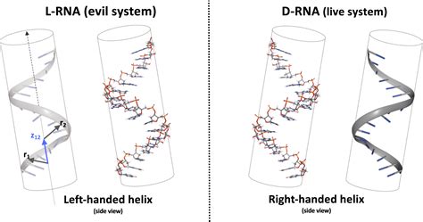 Cosmic Rays As The Source Of Lifes Handedness AAS Nova