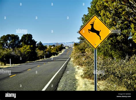 Cartello Stradale Di Attraversamento Dei Cervi Immagini E Fotografie