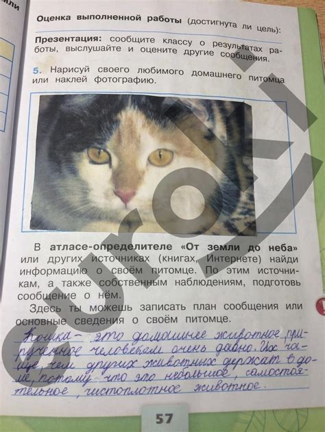 Готовые домашние задания окружающий мир 2 класс 2 часть рабочая тетрадь ...