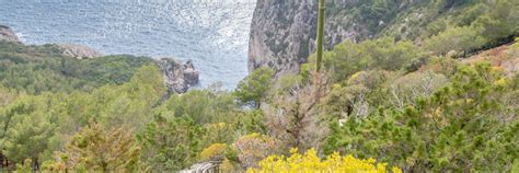 Capri A Piedi 7 Passeggiate Ed Escursioni Da Non Perdere CaseVacanza It