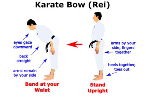 Karate Rules - Femex Karate: Martial Arts Training Center