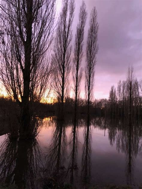 Gite La Marais De Maill Marais Poitevin Accueil Vend E