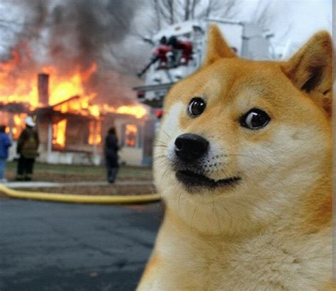 create meme doge meme doge dog doge pictures meme arsenalcom