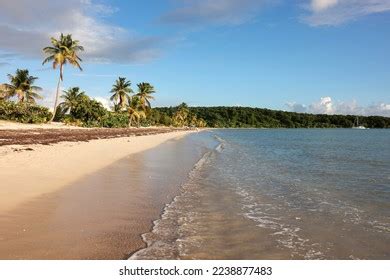 Playas De Vieques Photos, Images & Pictures | Shutterstock