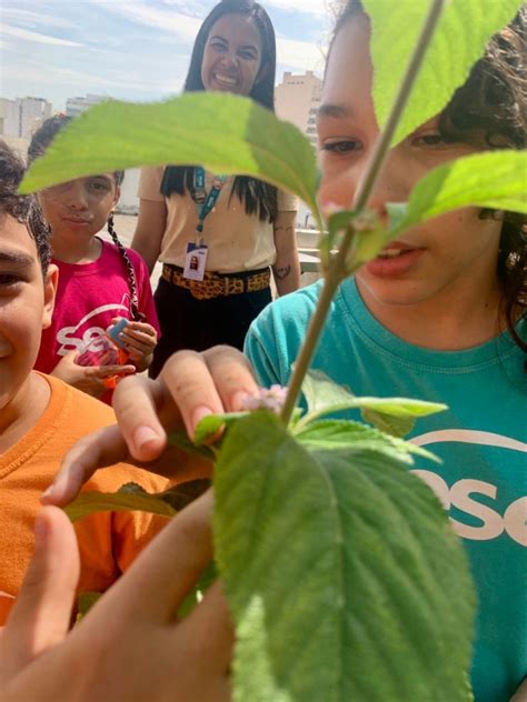 A natureza é das infâncias Portal da Educação Sesc RJ