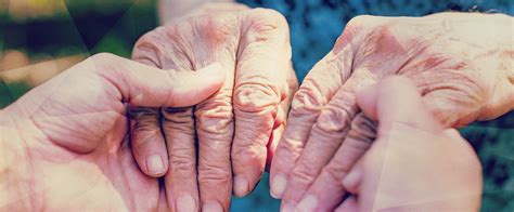 researchers    key  fighting degenerative diseases