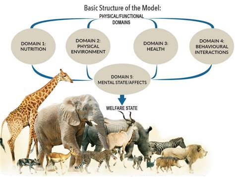 Animal Welfare And Nutrition Serving Up The Fifth Domain Mandi