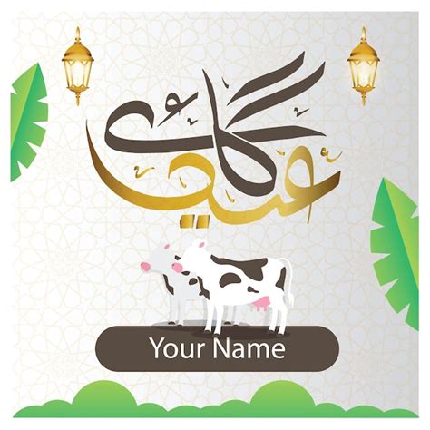 Vache Eid Gay Eid Vache Eid Calligraphie Eid Ul Adha Design Eid Ul Adha Mod Le Vecteur Premium