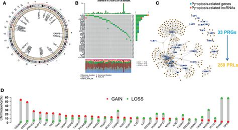 Frontiers Derivation Comprehensive Analysis And Assay Validation Of