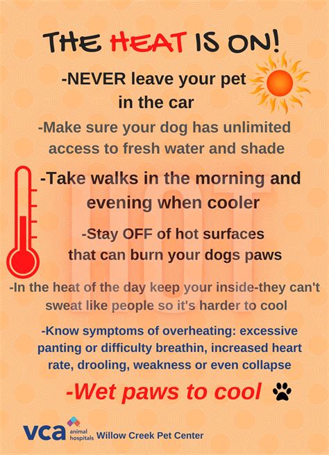 Vca willow creek veterinarians are saving pets every single day 27