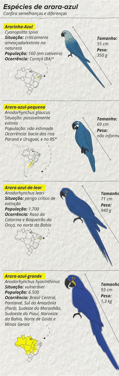 Tempo De Vida Da Arara Azul - O EMPENHO : VIDA ANIMAL: Arara-azul nasce no Zoológico de Curitiba.