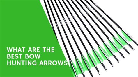 What are the Best Bow Hunting Arrows? Reviews and Buying Guide