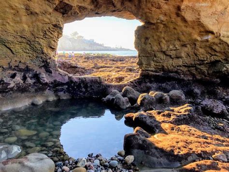 sea caves  la jolla underwater park san diego beach secrets