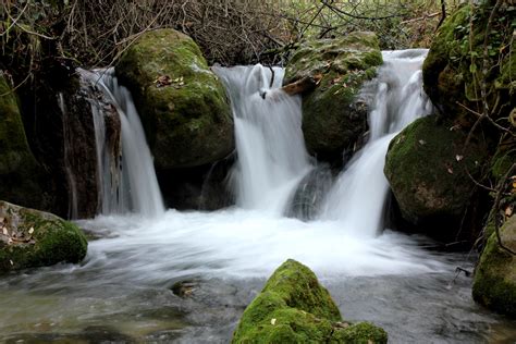 Fotos Gratis Naturaleza Bosque Cascada Arroyo R O Estanque