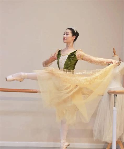 Gold Long Sleeve Juliette Romantic Ballet Tutu - Arabesque Life