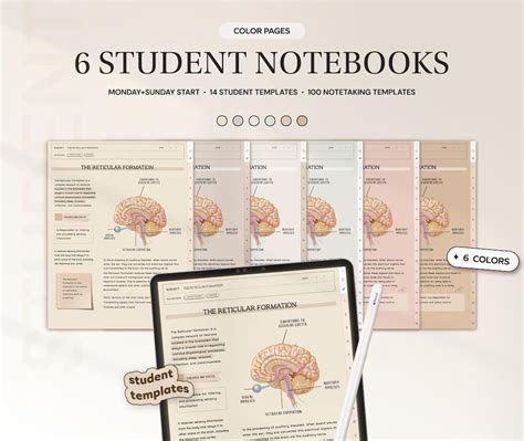 Digital Journal Goodnotes For College