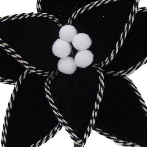 Velvet Peppermint Edge Poinsettia Flowers Black And White Christmas