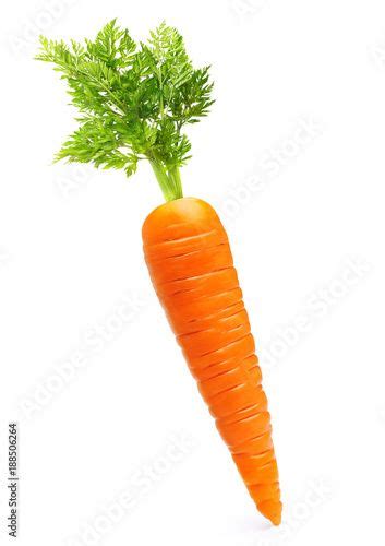 Carrot Isolated On White Stock Image