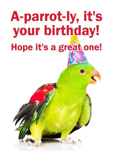 Bird Birthday Quotes Shortquotes Cc