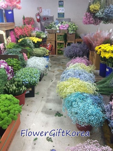 At The Flower Market In Seoul South Korea A Beautiful Selection Of