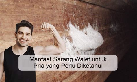 Manfaat Sarang Walet Untuk Pria Yang Perlu Diketahui