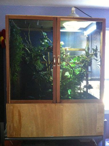 Veiled Chameleon with cage and all supplies $100 to good home