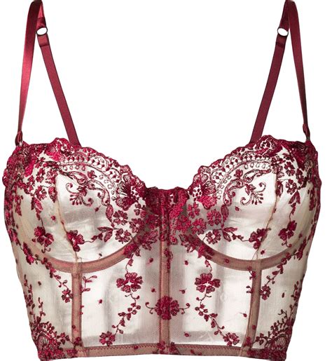 NSFW 18 Transparent Lingerie I D Sarrieri Bustier