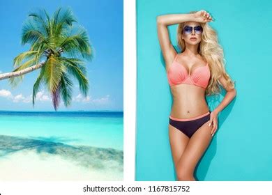 Elegant Sexy Woman Colorful Bikini On Stock Photo Shutterstock