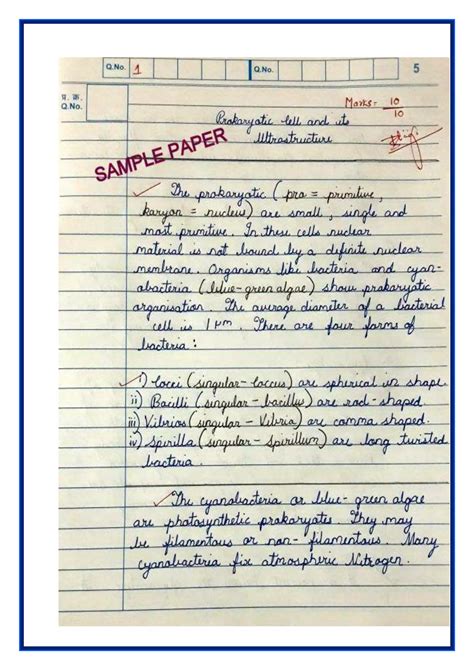 write answer sample paper