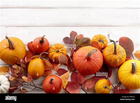 fall background  colorful autumn pumpkins  leaves stock photo alamy