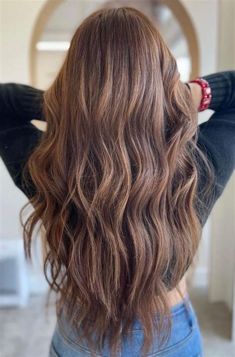 Teddy Bear Brown Hair The Warm Brunette Shade You Need