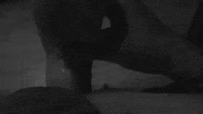 What Is Your Fav Sex Toy XNXX Adult Forum