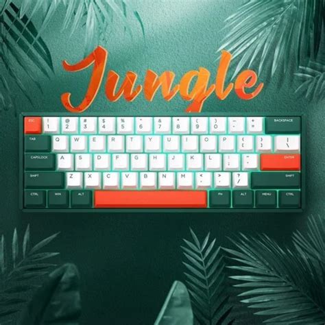 Bàn Phím Cơ Không Dây IQUNIX F60 Jungle Mystery RGB Hot Swappable Mech TINHOCNGOISAO