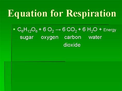 Photosynthesis Cellular Respiration and Transpiration Equation for ...