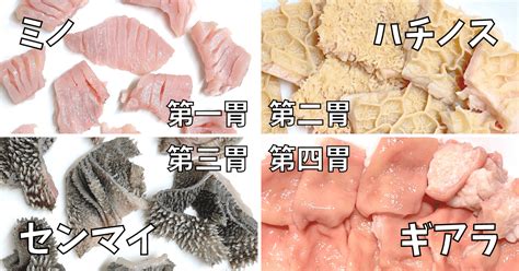 超図解ホルモン！4つの牛胃袋をリアルに解説！｜ホルモン★モイ将