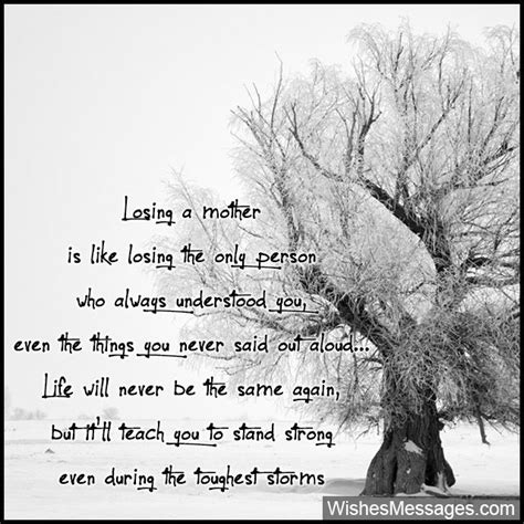 Sympathy Quotes For Mother In Law At Michael Siddons Blog