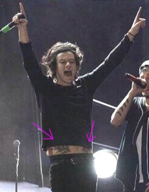 Tatuaggi Harry Styles | tatuaggivip