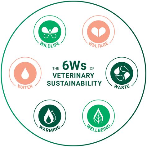 Vet Sustain Launches Ambitious Strategy 2025-2028 to Embed