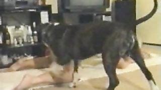 Charged Extreme Sex Videos